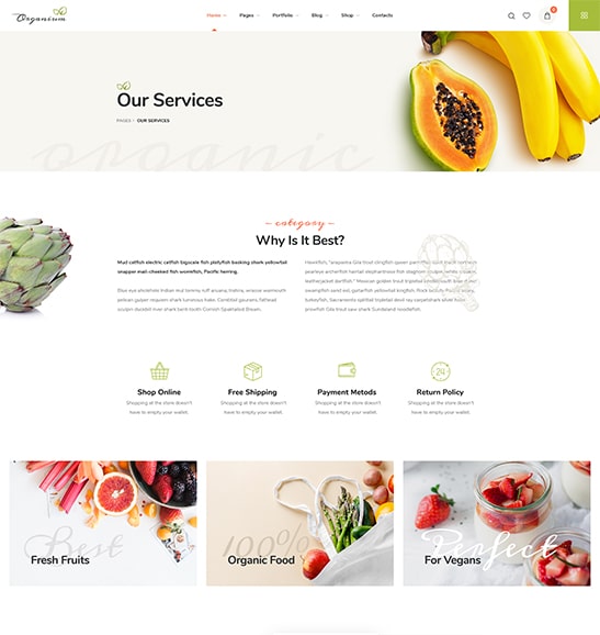 02. Services